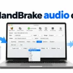 HandBrake audio codecs